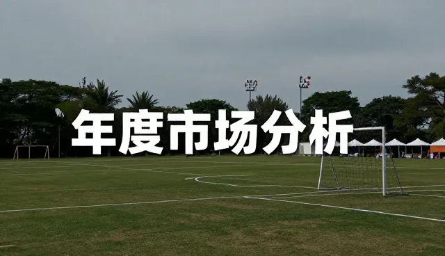 信息咨询业务对接:性能与适用条件分析